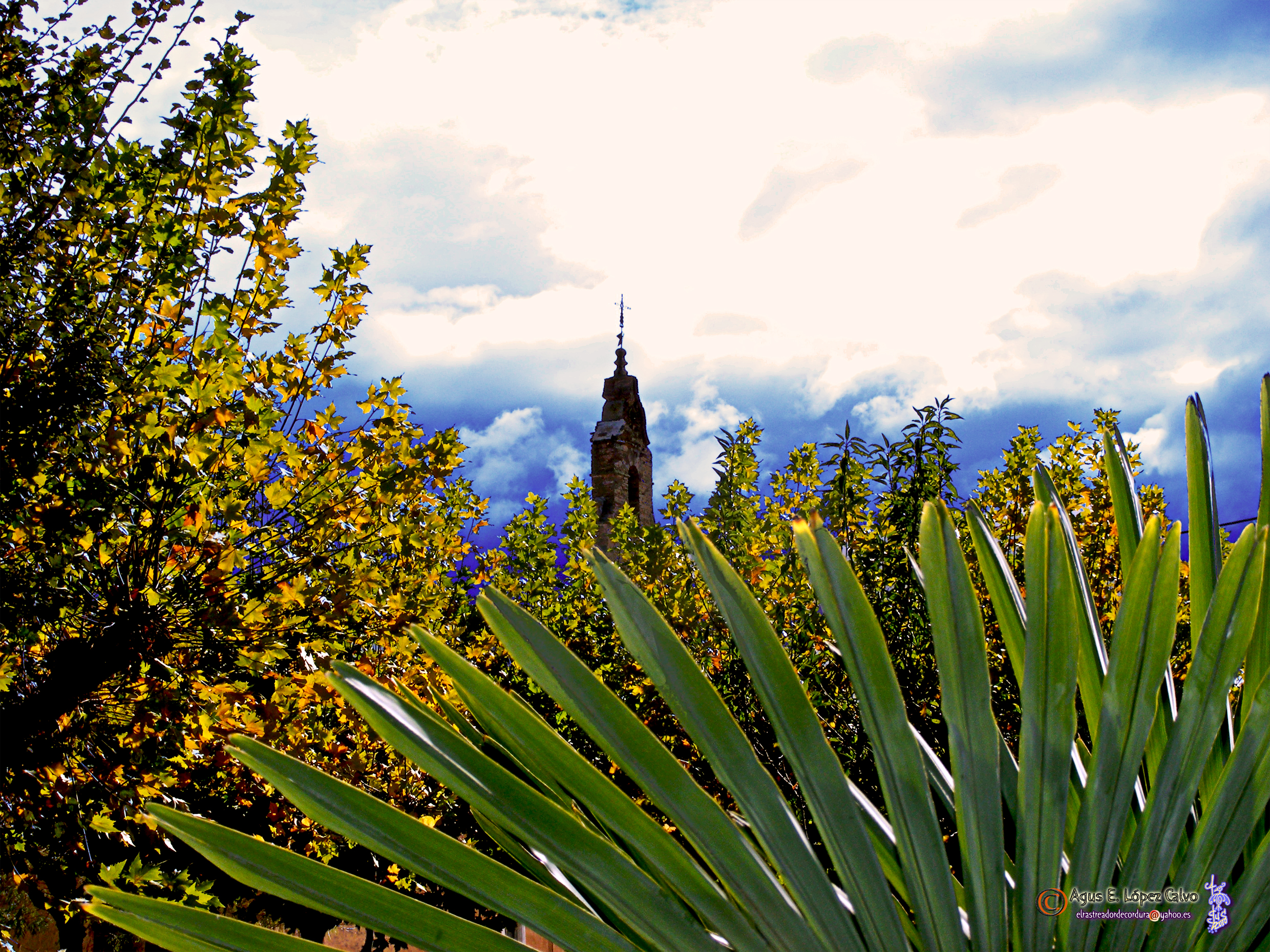El campanario desde el Parque de San Juan.jpg